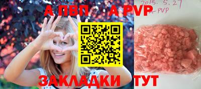 кокс Можга