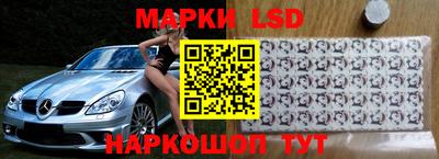 индика Нальчик