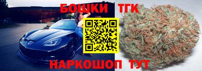 индика Нальчик