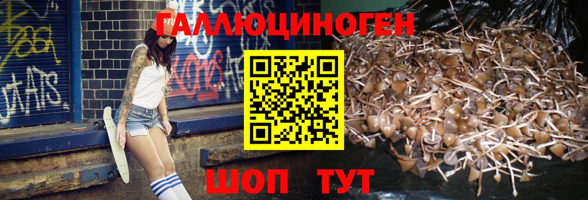Галлюциногенные грибы GOLDEN TEACHER Урюпинск