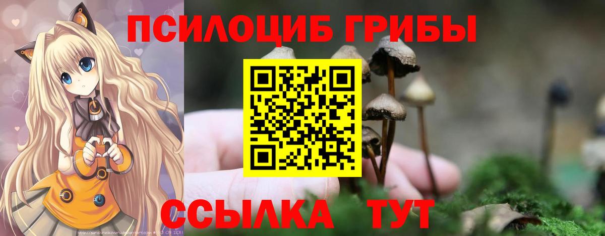 Псилоцибиновые грибы MAGIC MUSHROOMS  Вход с VPN  Урюпинск 